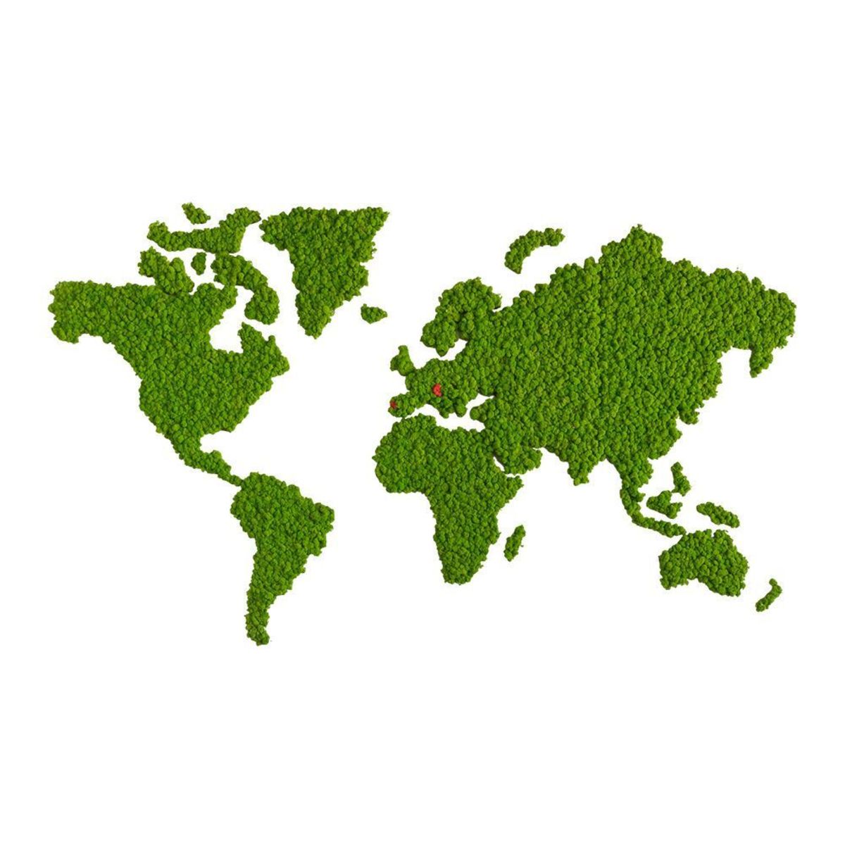 styleGREEN Islandmoos Weltkarte grün