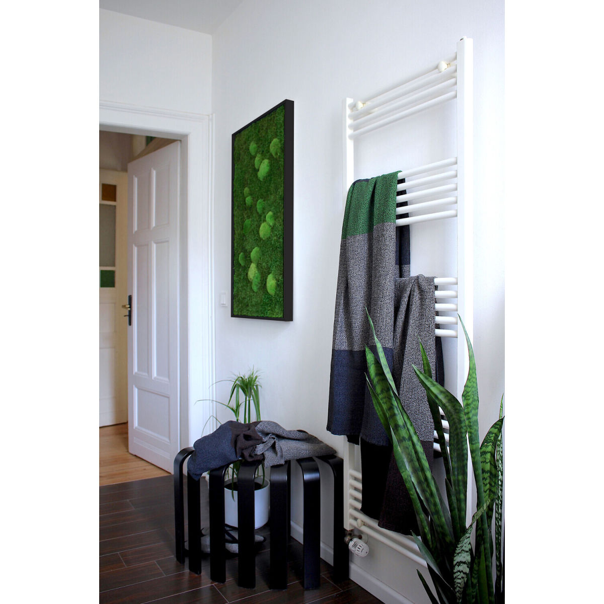 styleGREEN Wald- und Kugelmoosbild 80x80cm Vollholz (schwarz) 80x80 cm (LxB); grün
