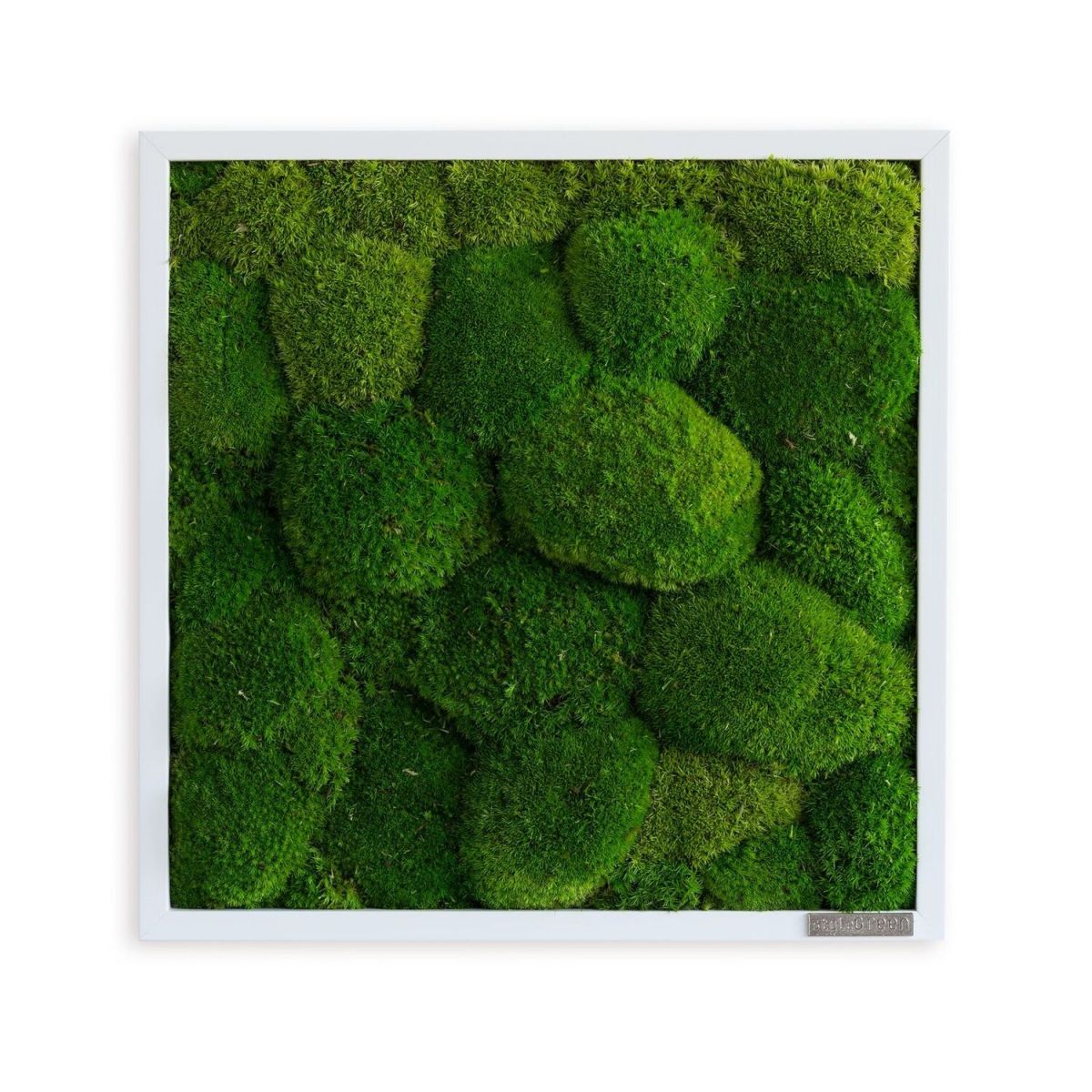 styleGREEN Kugelmoos 35x35 35x35 cm (LxB); grün