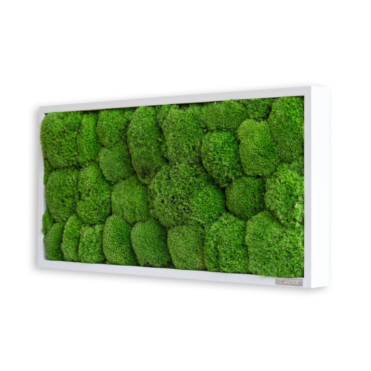 styleGREEN Kugelmoos 57x27 57x27 cm (LxB); grün