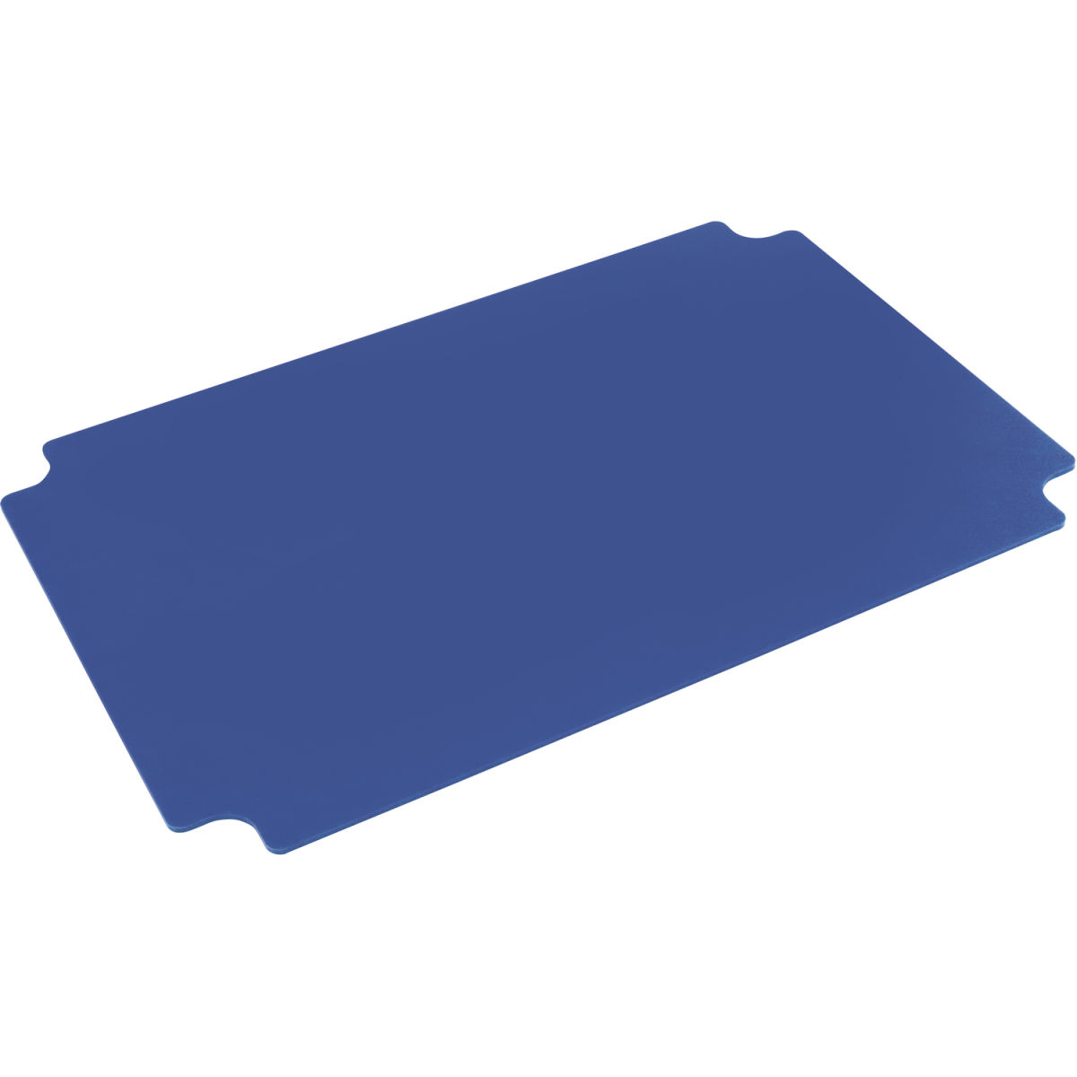 Schneider Ersatz-Auflagen 40x60x1.8 cm (LxBxH); blau; 6 Stück / Pack