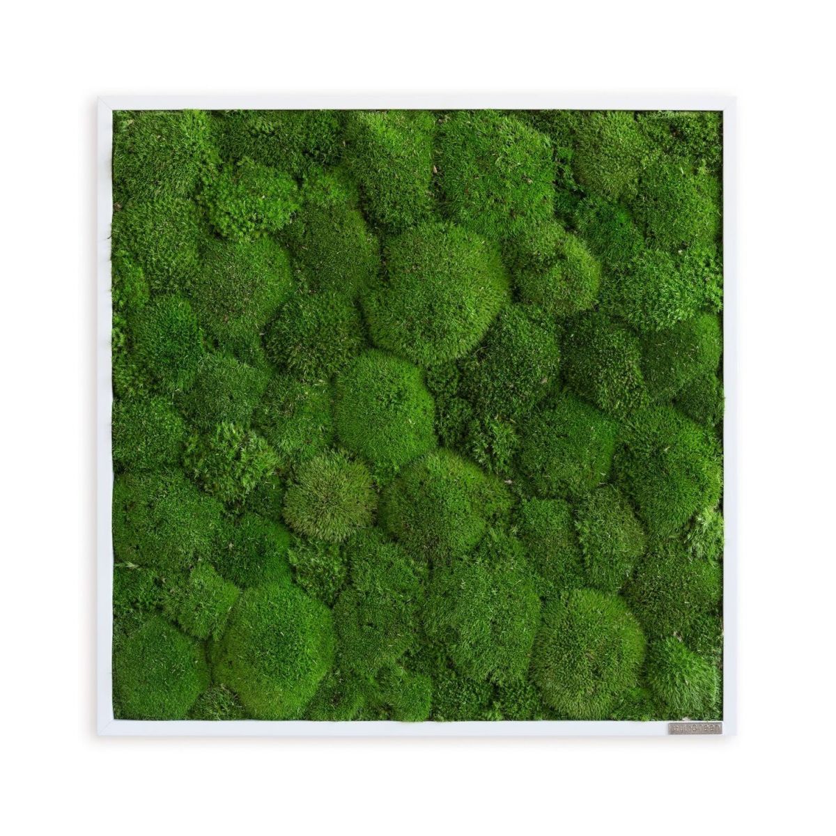 styleGREEN Kugelmoos 55x55 55x55 cm (LxB); grün