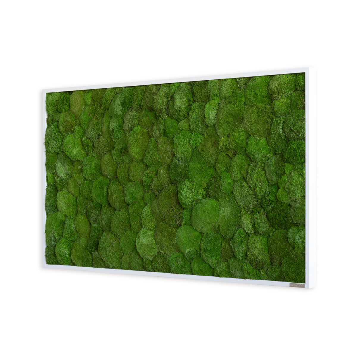 styleGREEN Kugelmoosbild 100x60cm 100x60 cm (LxB); grün