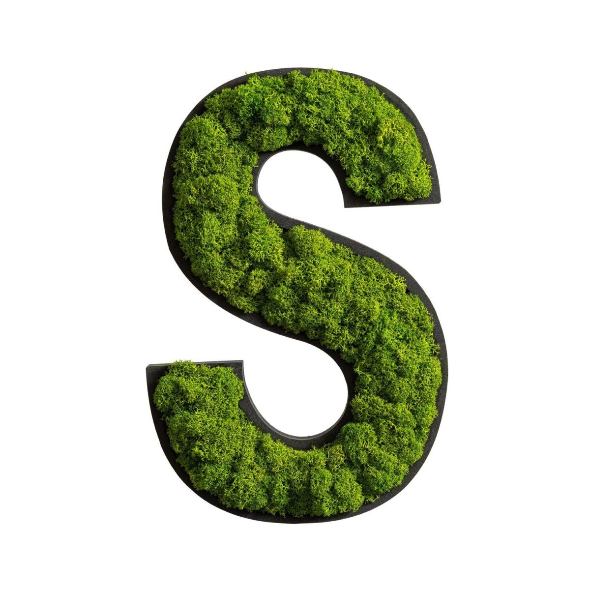 styleGREEN Piktogramm Buchstabe Islandmoos 26x18 cm (LxB); grün; Prägung S