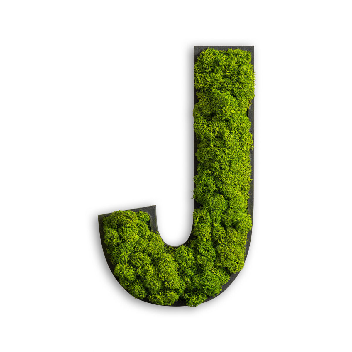 styleGREEN Piktogramm Buchstabe Islandmoos 25x15 cm (LxB); grün; Prägung J