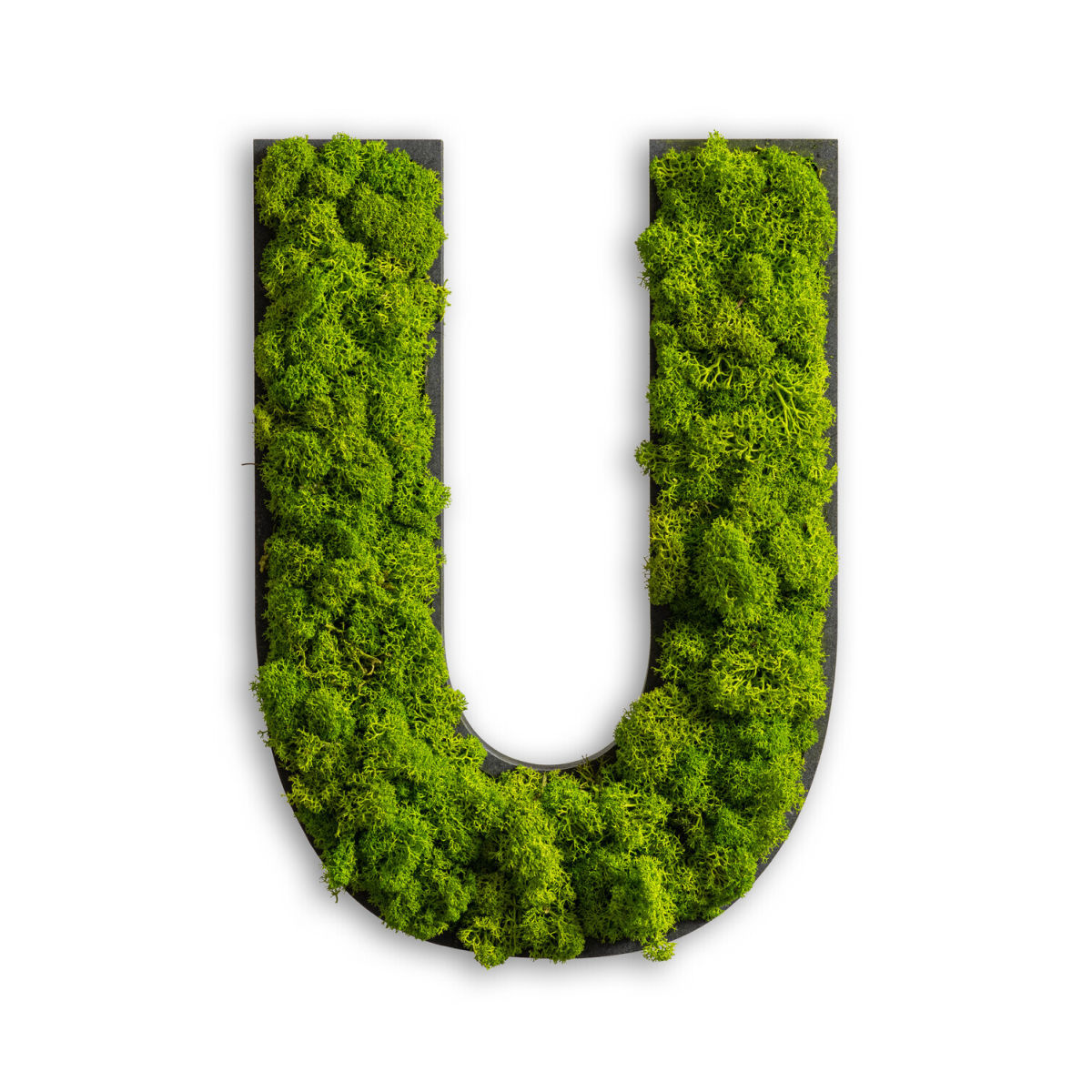 styleGREEN Piktogramm Buchstabe Islandmoos 26x19 cm (LxB); grün; Prägung U