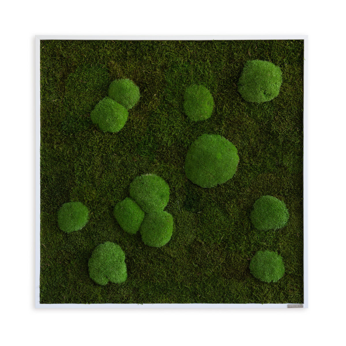 styleGREEN Wald- und Kugelmoosbild 80x80cm 80x80 cm (LxB); grün