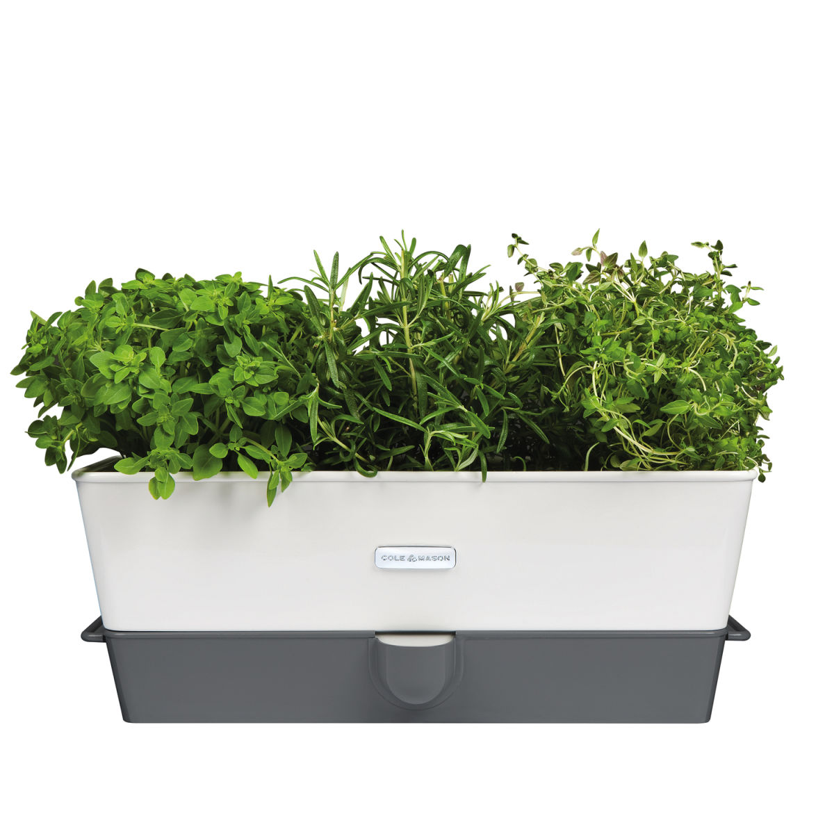Cole & Mason Burwell Potted Kräutertopf mit Selbstbewässerung -dreifach 14x37.1x14 cm (LxBxH); grau/weiß; 2 Stück / Pack
