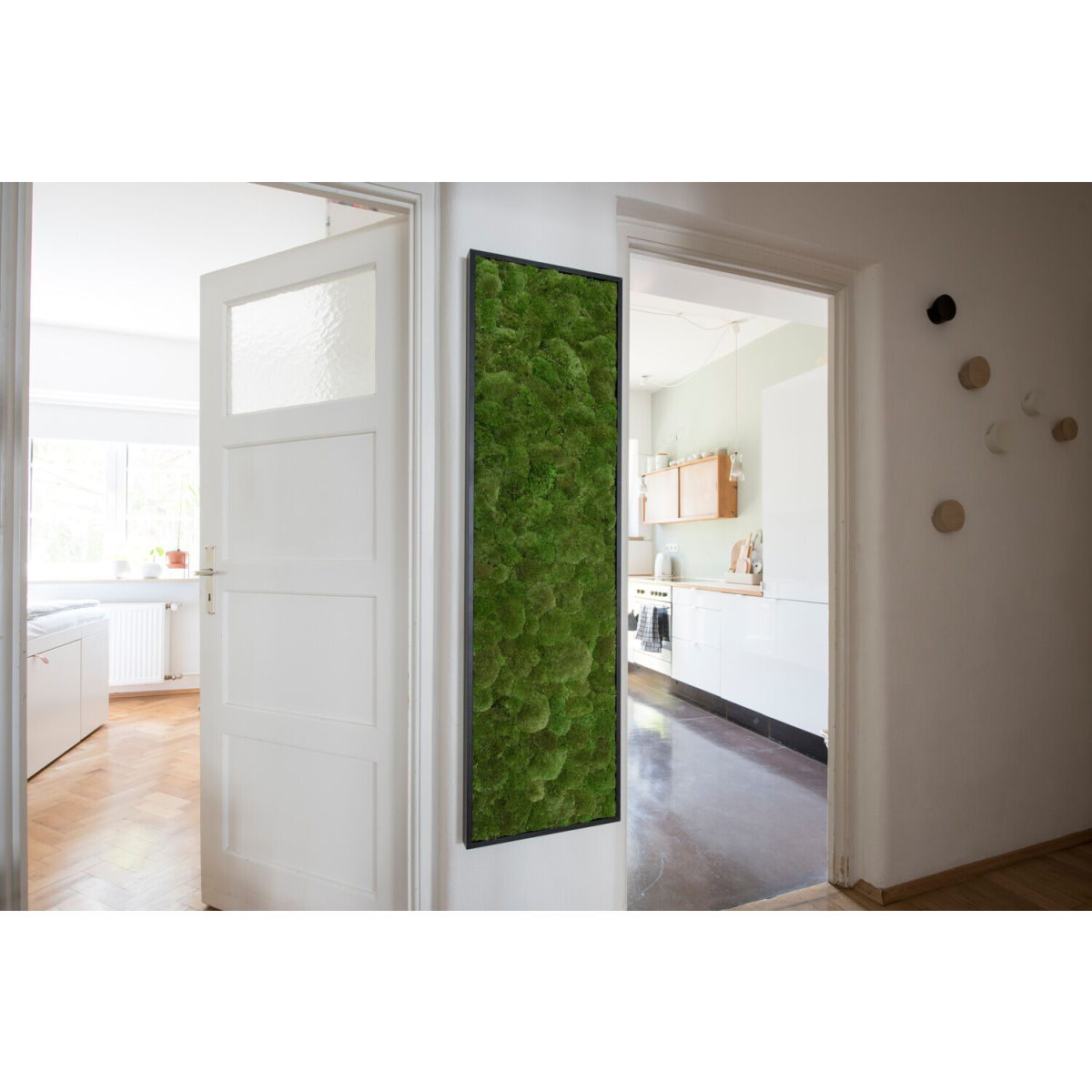 styleGREEN Kugelmoosbild 100x60cm Vollholz (schwarz) 100x60 cm (LxB); grün