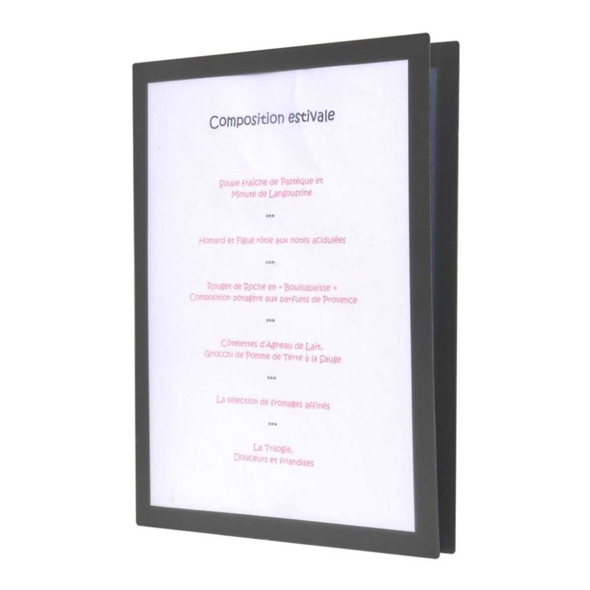 METAFICH Speisekarten Restaurant aus Kunststoff im Format A4 Modell 4 Seiten. 22x31 cm (BxH); grau