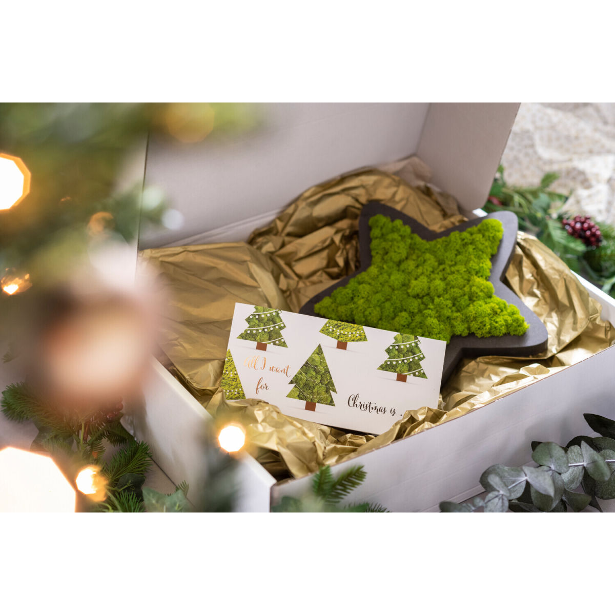 styleGREEN Piktogramm: Sternchen Islandmoos 26x26 cm (LxB); grün