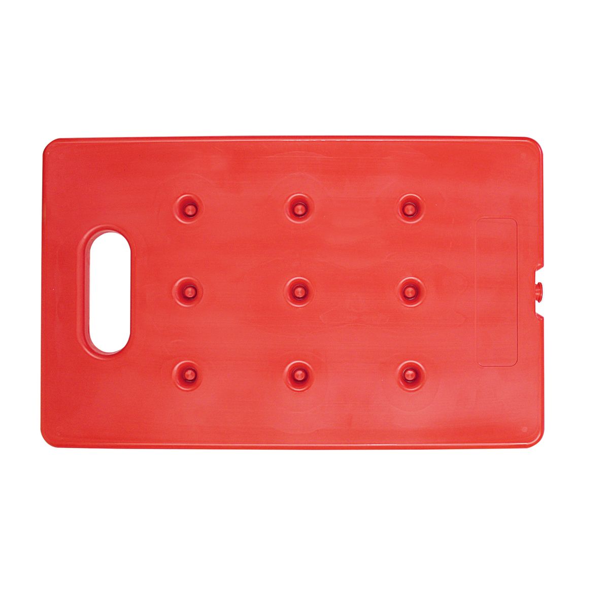 Schneider Wärmeakku GN 1/1 GN 1/1, 53x32.5x3 cm (LxBxH); rot
