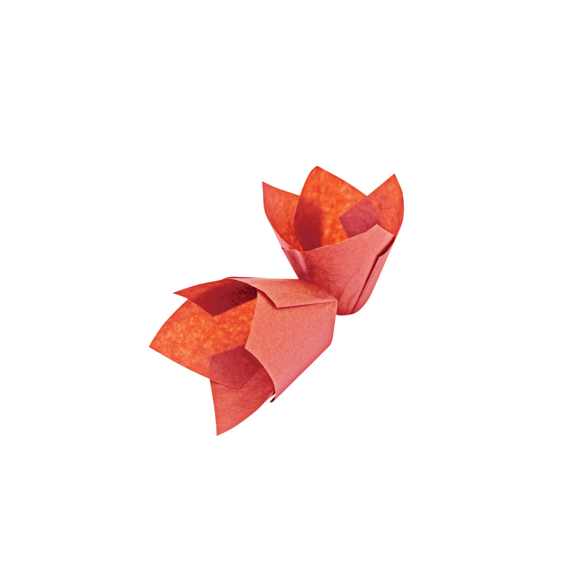 Schneider Muffinform 5x5x5x5.5 cm (LxBxØxH); rot; 1000 Stück / Pack