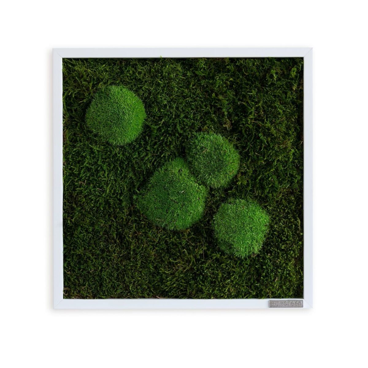 styleGREEN Wald- und Kugelmoosbild 35x35cm 35x35 cm (LxB); grün