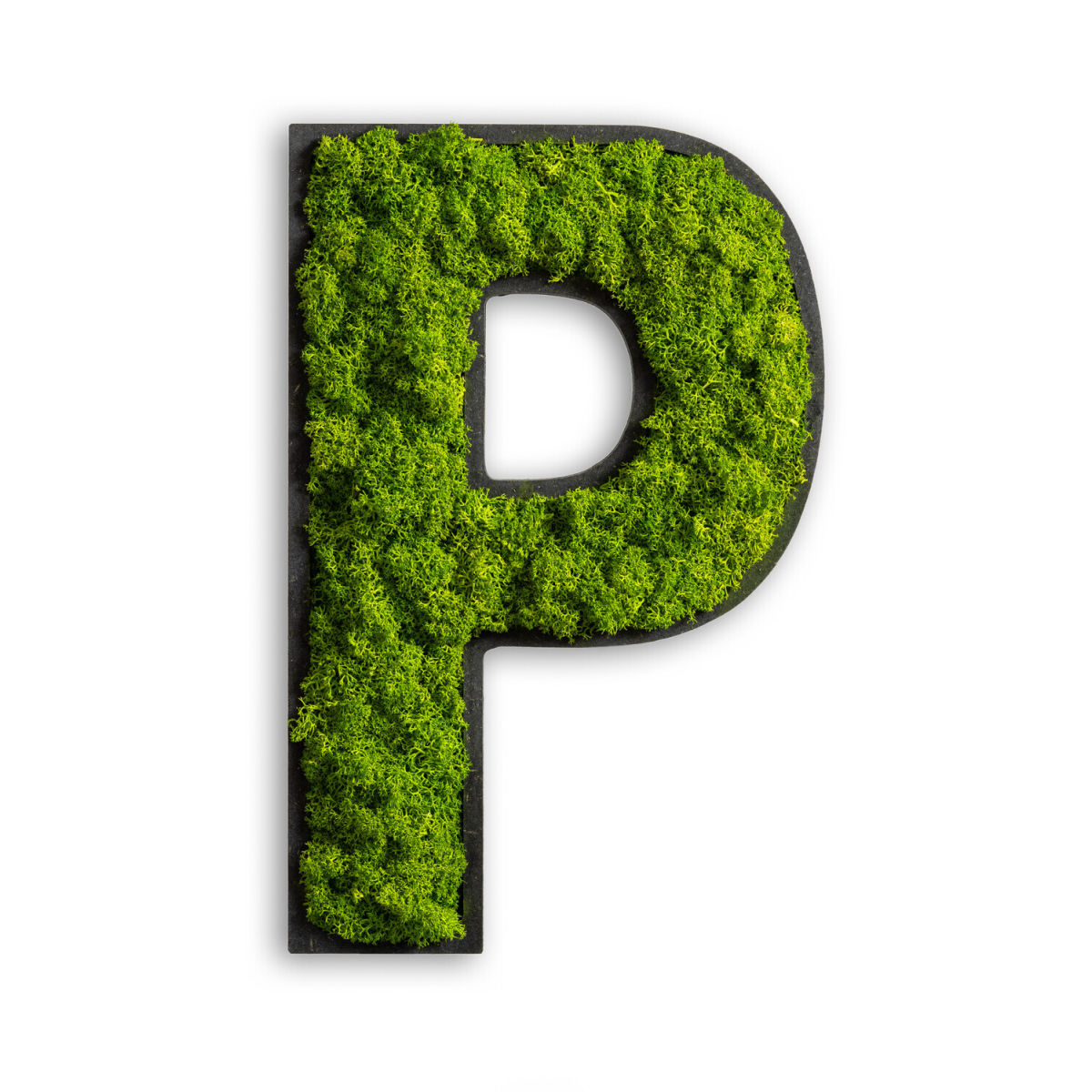 styleGREEN Piktogramm Buchstabe Islandmoos 25x16 cm (LxB); grün; Prägung P