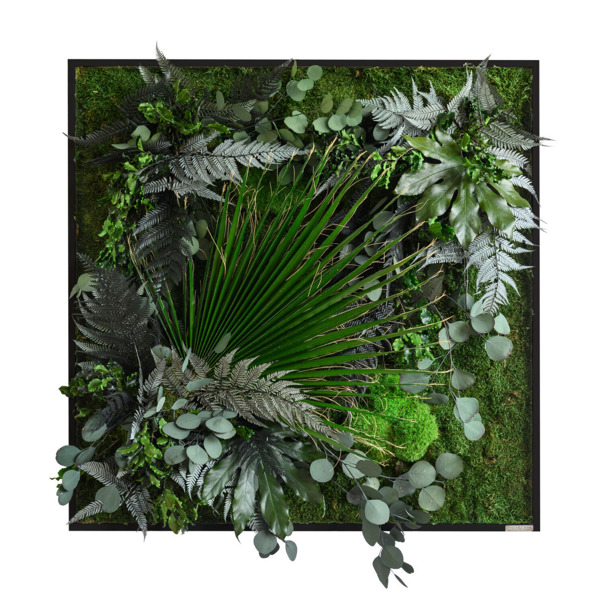 styleGREEN Pflanzenbild im Dschungeldesign 80x80cm Vollholz (schwarz) 80x80 cm (LxB); grün