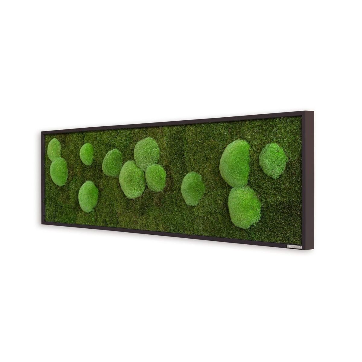 styleGREEN Wald- und Kugelmoosbild 140x40cm Vollholz (schwarz) 140x40 cm (LxB); grün