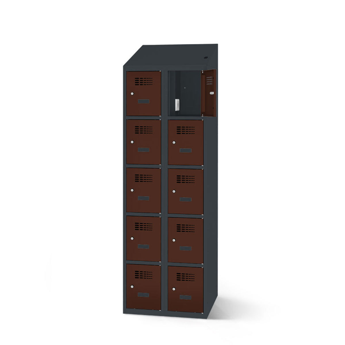rotstahl Fächerschrank mit Ladefunktion 10 Fächer mit anthrazitgrauem Korpus 60x200 cm (BxH); mahagoni