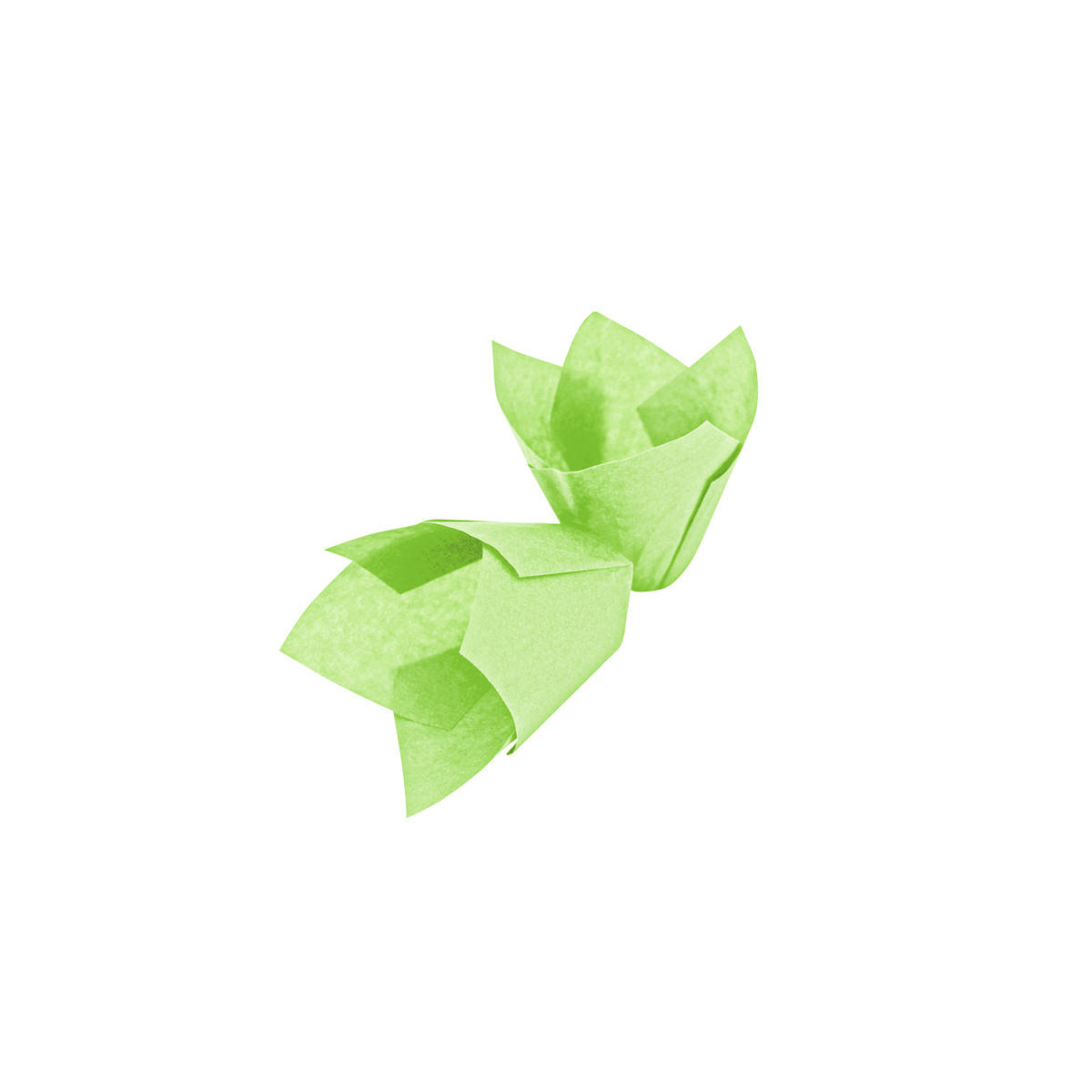 Schneider Muffinform 5x5x5x5.5 cm (LxBxØxH); grün; 1000 Stück / Pack