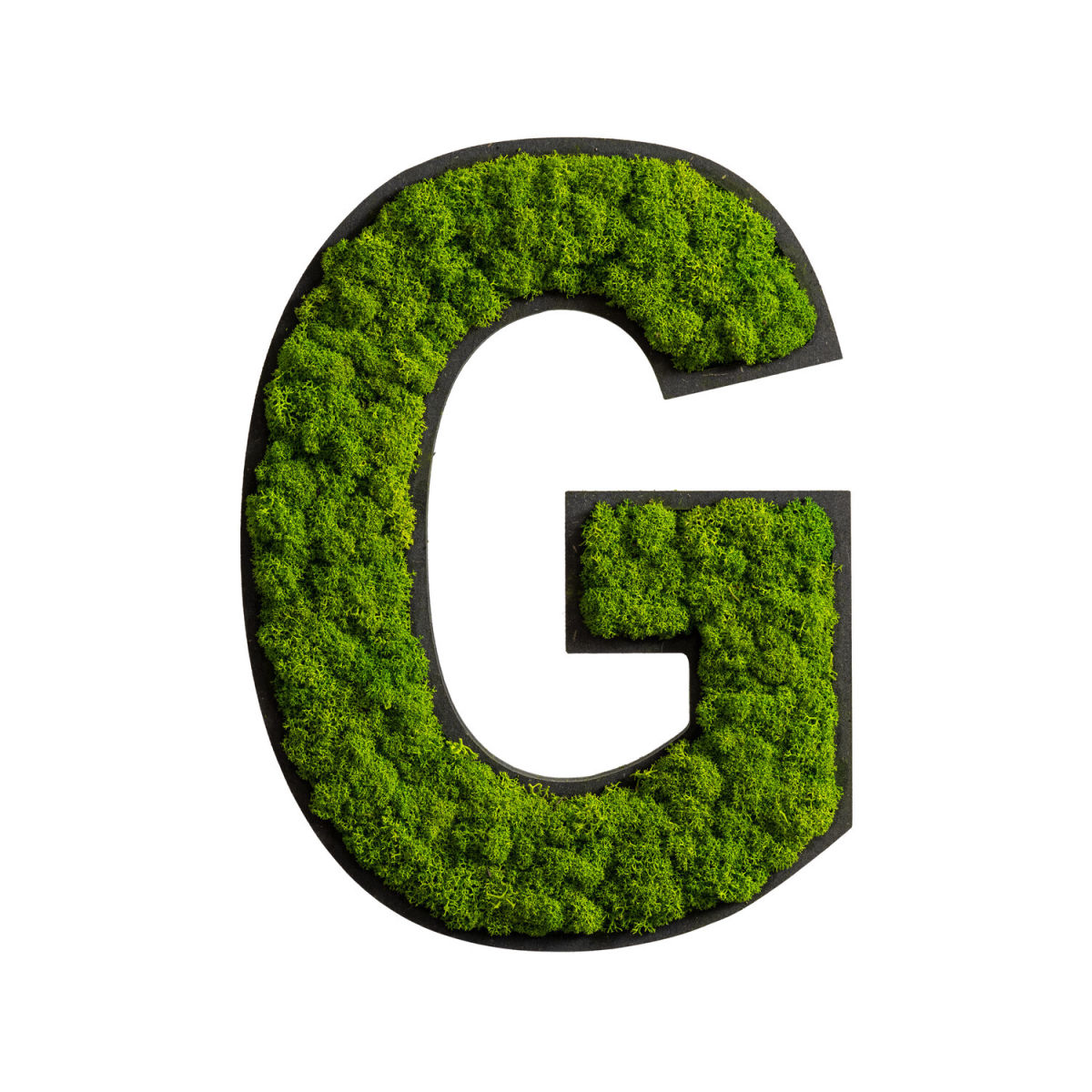 styleGREEN Piktogramm Buchstabe Islandmoos 26x20 cm (LxB); grün; Prägung G