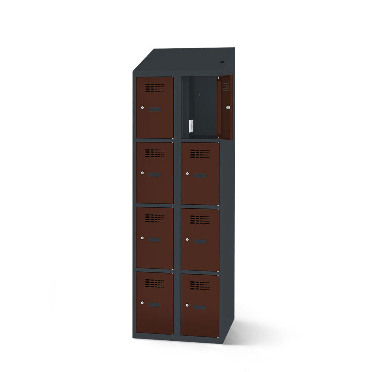 rotstahl Fächerschrank mit Ladefunktion 8 Fächer mit anthrazitgrauem Korpus 60x200 cm (BxH); mahagoni