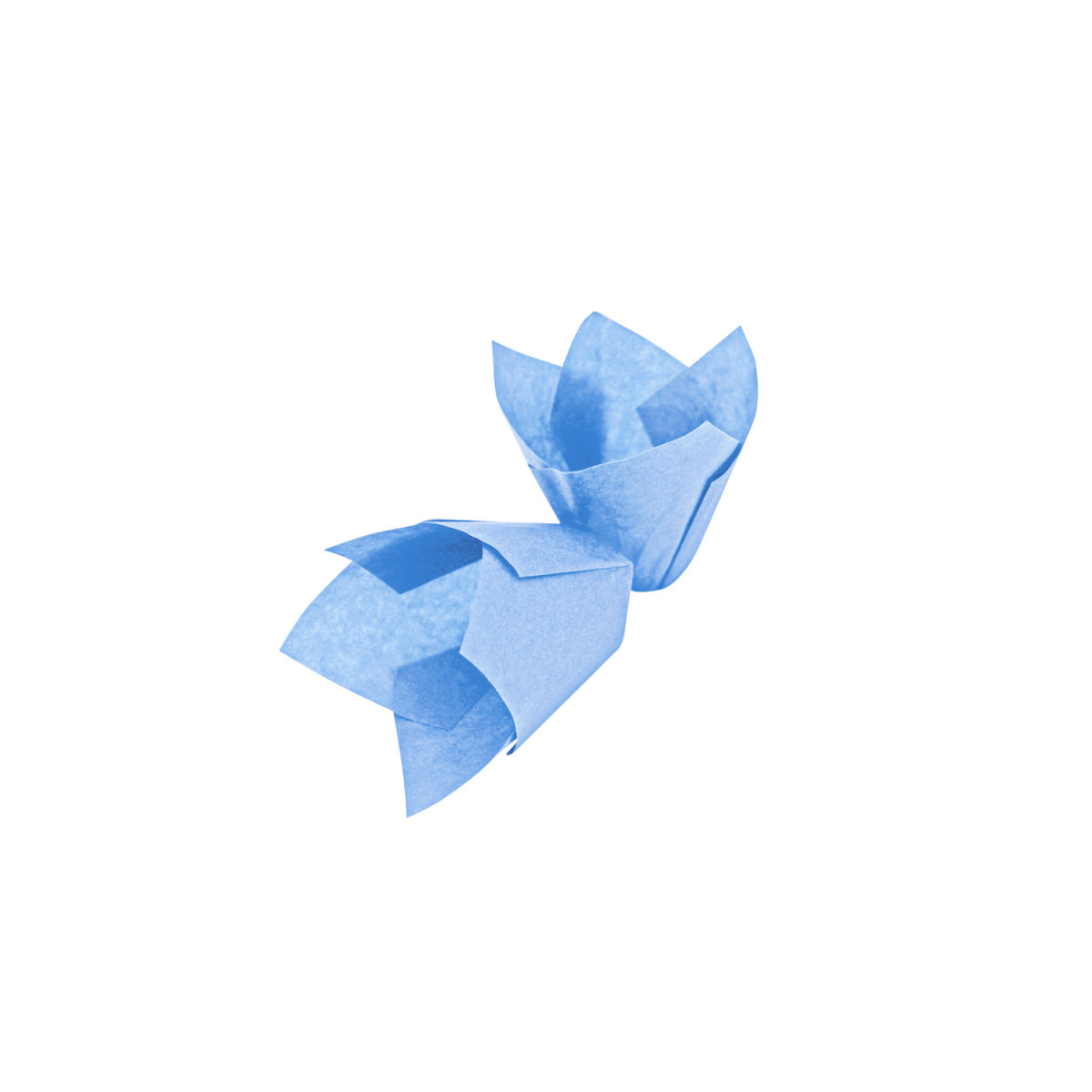 Schneider Muffinform 5x5x5x5.5 cm (LxBxØxH); blau; 1000 Stück / Pack