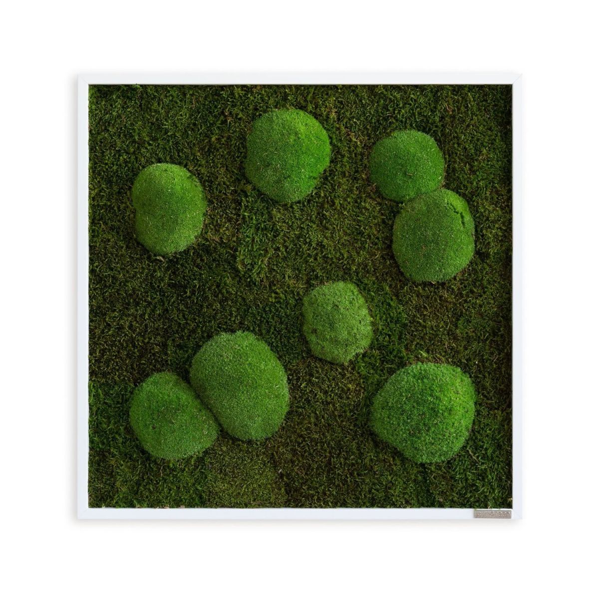 styleGREEN Wald- und Kugelmoosbild 55x55cm 55x55 cm (LxB); grün