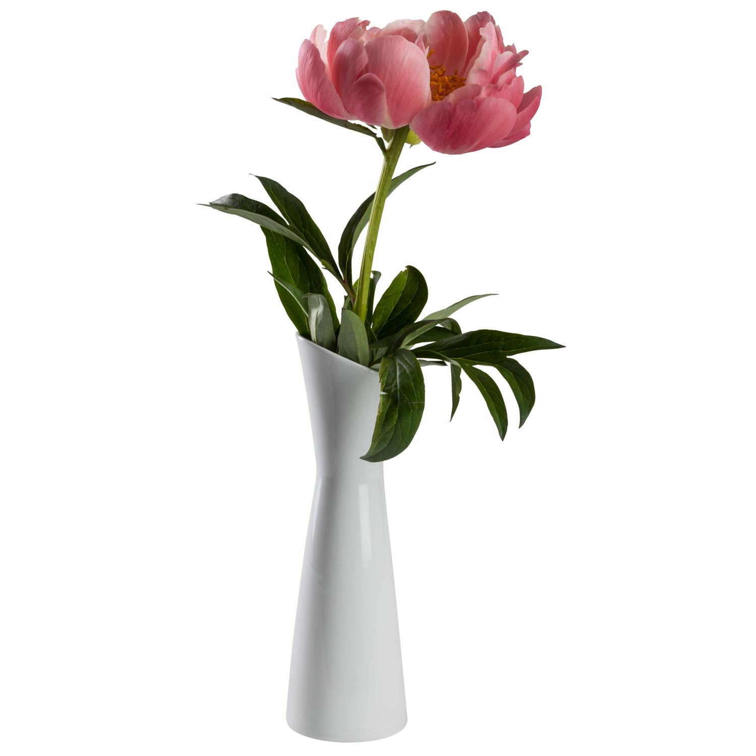 Mini bouquet di fiori secchi Corey  LUSINI Forniture alberghiere e  attrezzature per ristorazione