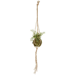 Moss μπάλα Hina