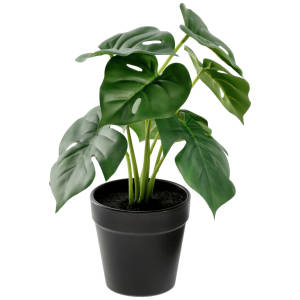 Artificial plants Nivia