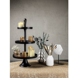 Display Amyntas