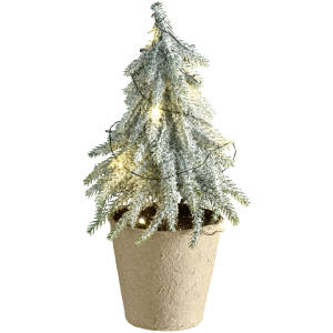 Tree Bodana