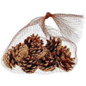 Pine cones Dalip sprayed