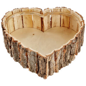 Decorative plant heart Palmina