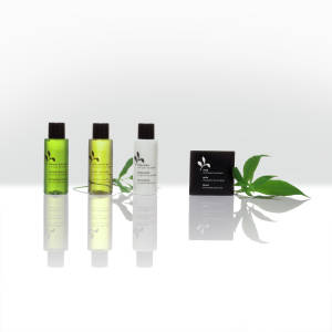 Sample set Green Tea 4-piece