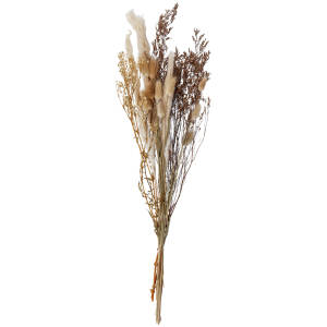 Bouquet of dried flowers Alia