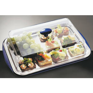 APS Thermo tray set 43x29...
