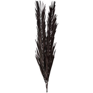 Dried flower branch Abbie