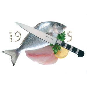 Filleting knife  1905