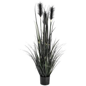 Θάμνος Grass Sanjah