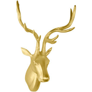 Decoration deer antlers...