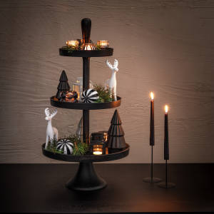 Display Amyntas