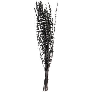 Dried flower bundle Anando
