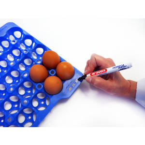 Egg box GN 2/3