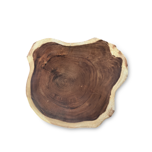 Baumscheibe (Suar, 120 cm) kaufen LUSINI