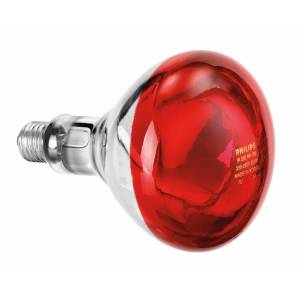 Infrared lamp IWL250D