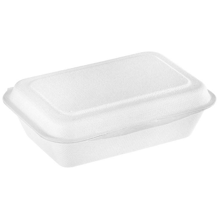 Zuckerrohr-Lunchbox Nature V rechteckig