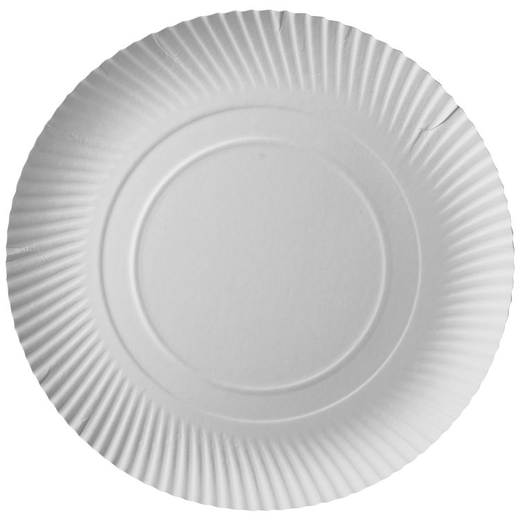 Einweg-Teller Pure, Frischfaser-Pappe