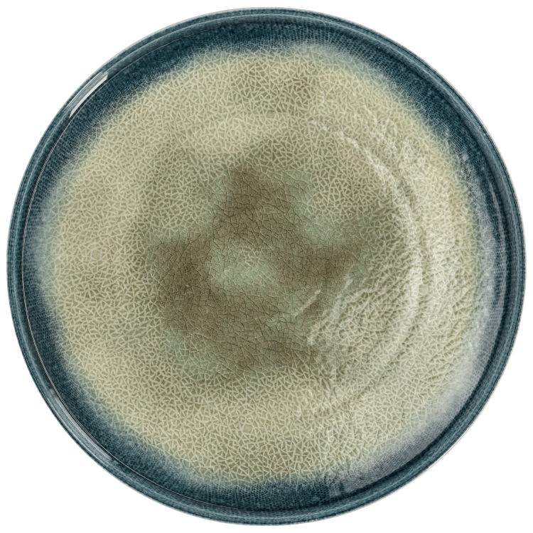 Tallerken Auri med kant