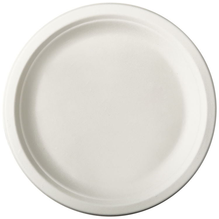 Zuckerrohr-Einwegteller Pure